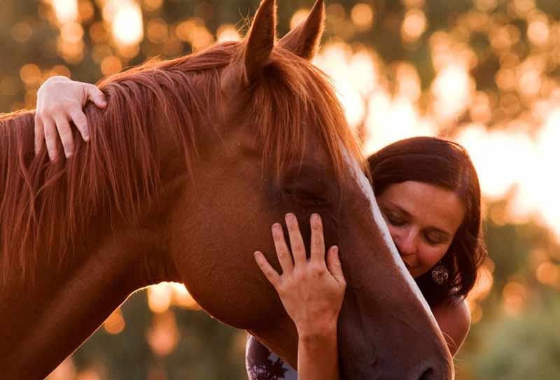 women hugging a brown horse